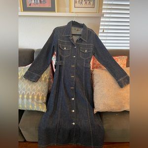Kitsch Denim Maxi Jean Dress